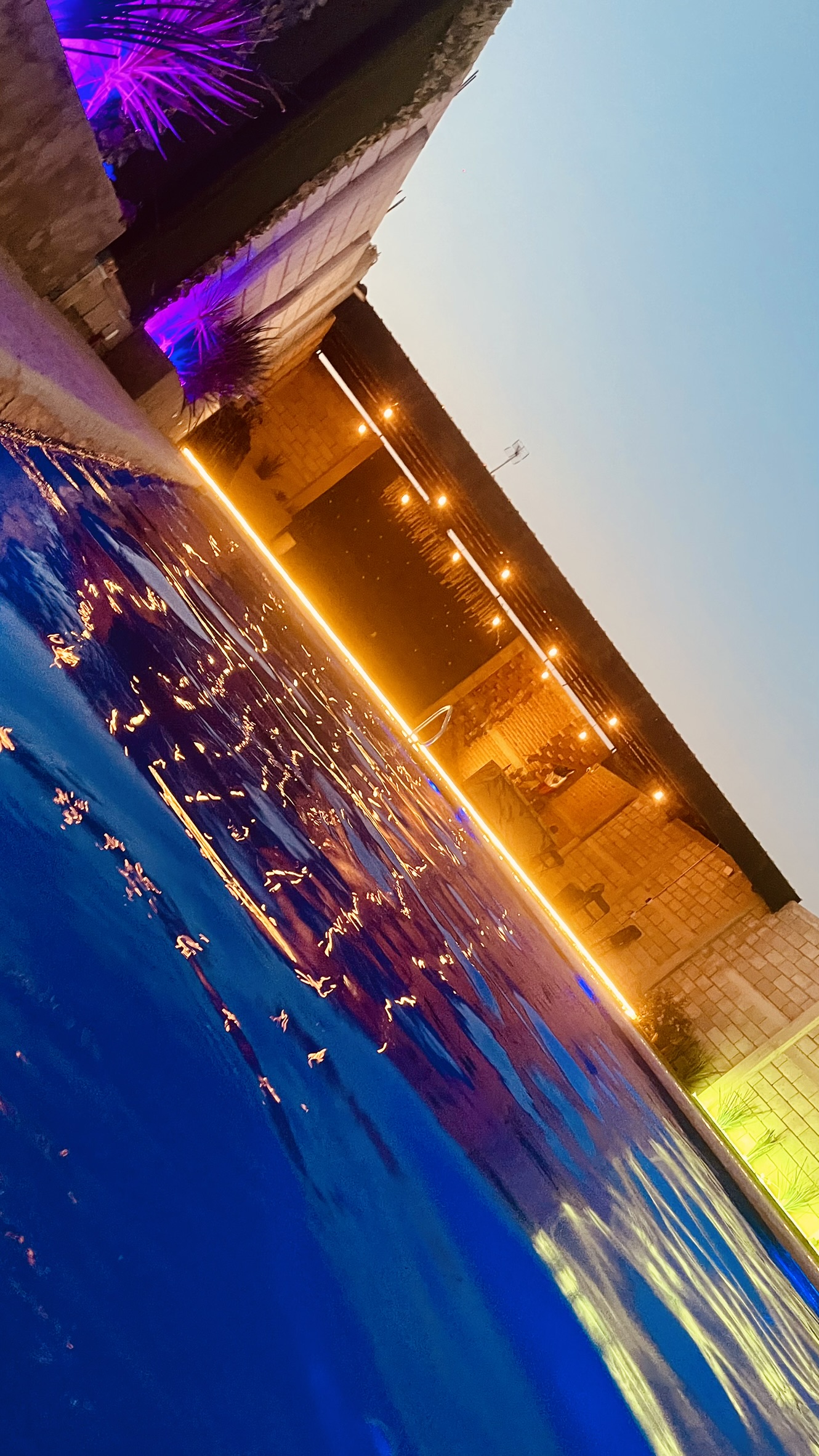 Paradisio Terraza experiencia